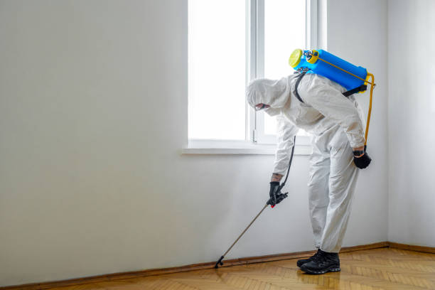 Best Rat Extermination Near Me  in Leander, TX