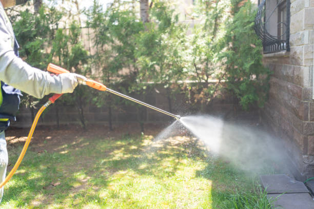 Wildlife Control Services in Leander, TX