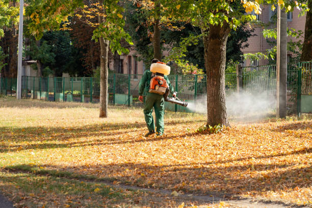 Best Affordable Pest Control Services  in Leander, TX