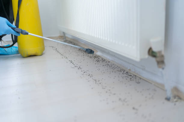 Best Exterminator Services  in Leander, TX