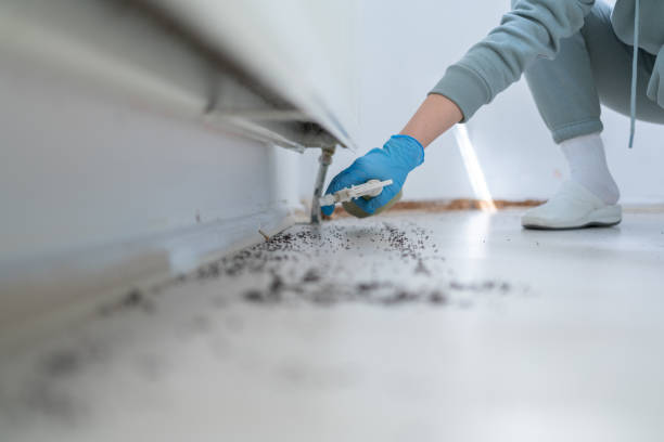  Leander, TX Pest Control Pros