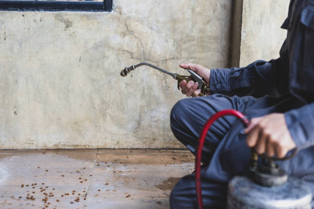 Best Best Pest Control Companies  in Leander, TX